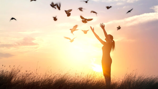 Woman praying and free bird enjoying nature on sunset background